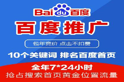 推广竞价策略优化：借鉴成功案例实现高效转化